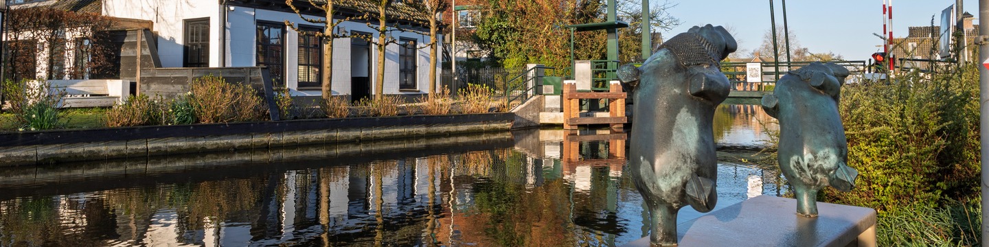 Foto van Bilderdam