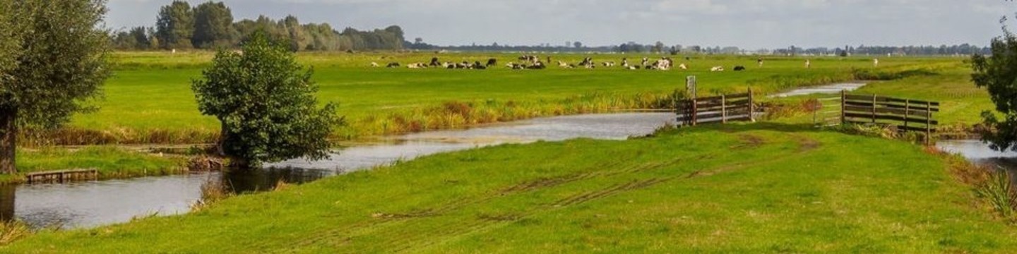 Natuur in Rijnsaterwoude