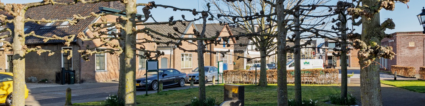 Foto van straat in Leimuiden